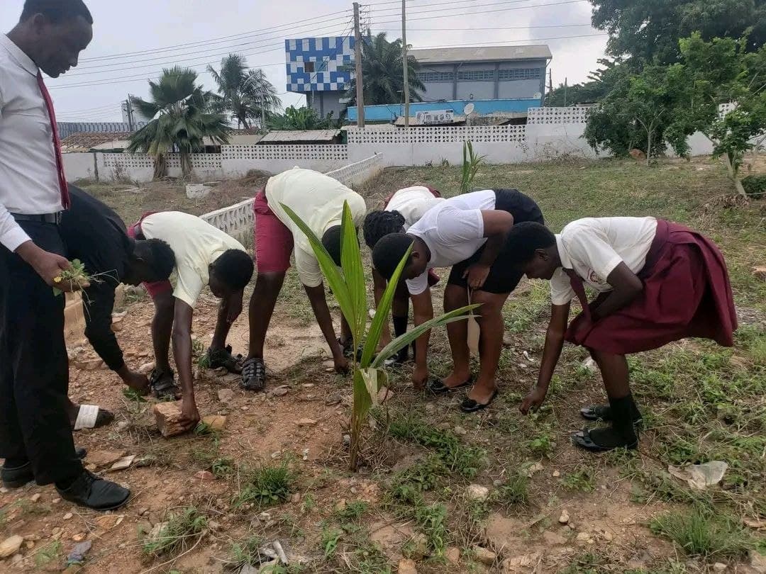 World Environment Day tree-planting