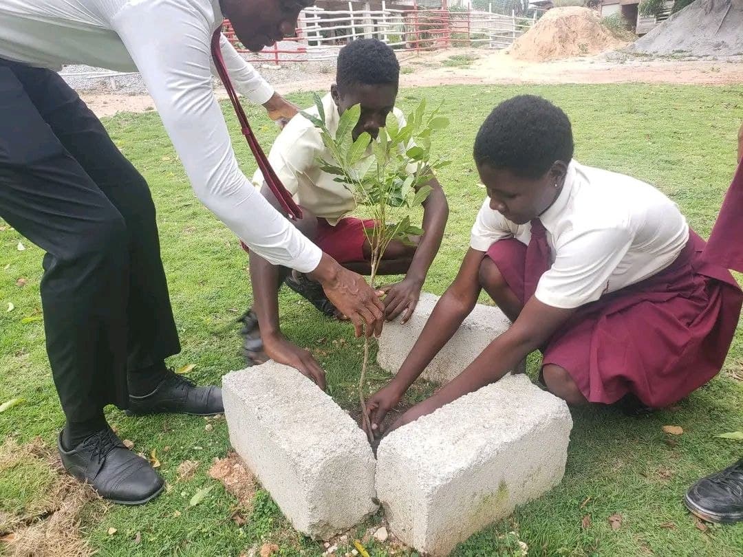 Giving back — tree-planting exercise
